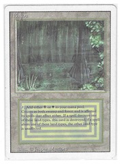 Bayou (#558)